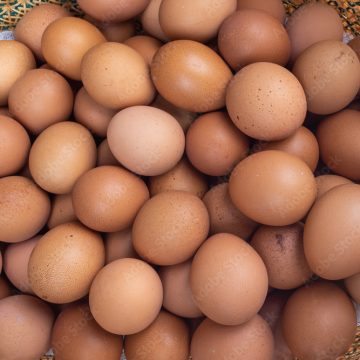 Sustainable Egg Production in Nigeria: Navigating Challenges and Seizing Opportunities on World Egg Day