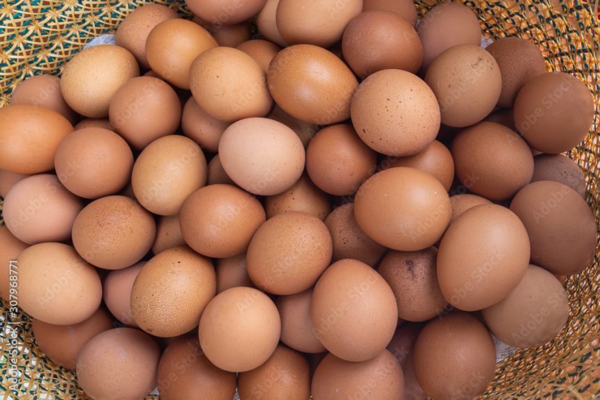 Sustainable Egg Production in Nigeria: Navigating Challenges and Seizing Opportunities on World Egg Day